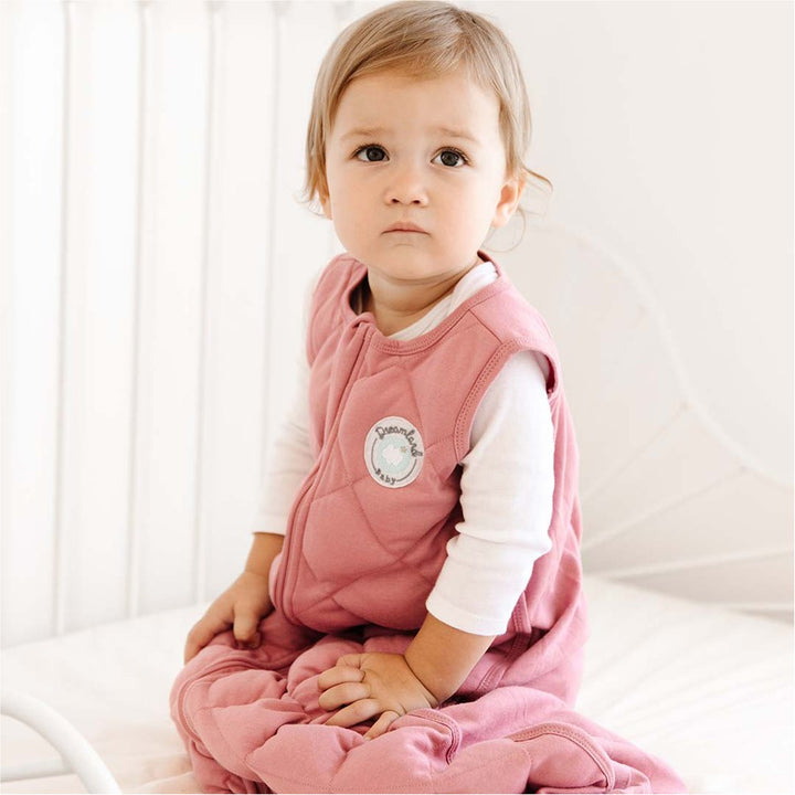 Dreamland Baby Dream Weighted Sleepsack - Dusty Rose (Medium, 6-12 Months)