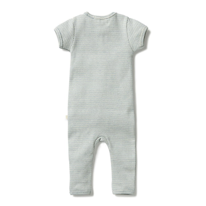 Wilson+Frenchy Organic Cotton Striped Short Sleeve Zipsuit - Bluestone (12-18 Months, 10-12 Kg)