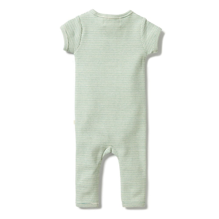 Wilson+Frenchy Organic Cotton Striped Short Sleeve Zipsuit - Deep Sea (12-18 Months, 10-12 Kg)