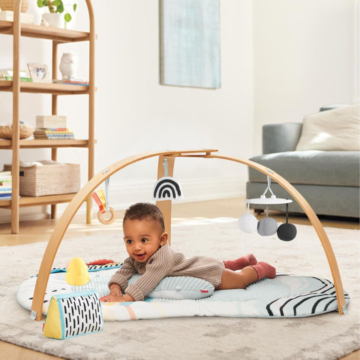 Skip Hop Discoverosity Montessori-Inspired Play Gym