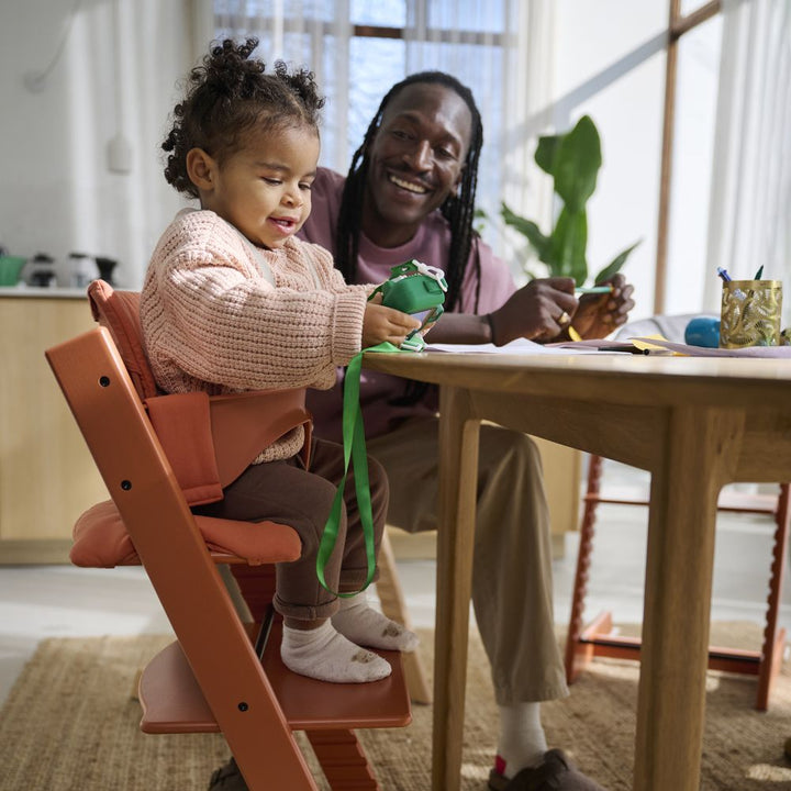 Tripp Trapp High Chair2 and Cushion with Stokke Tray