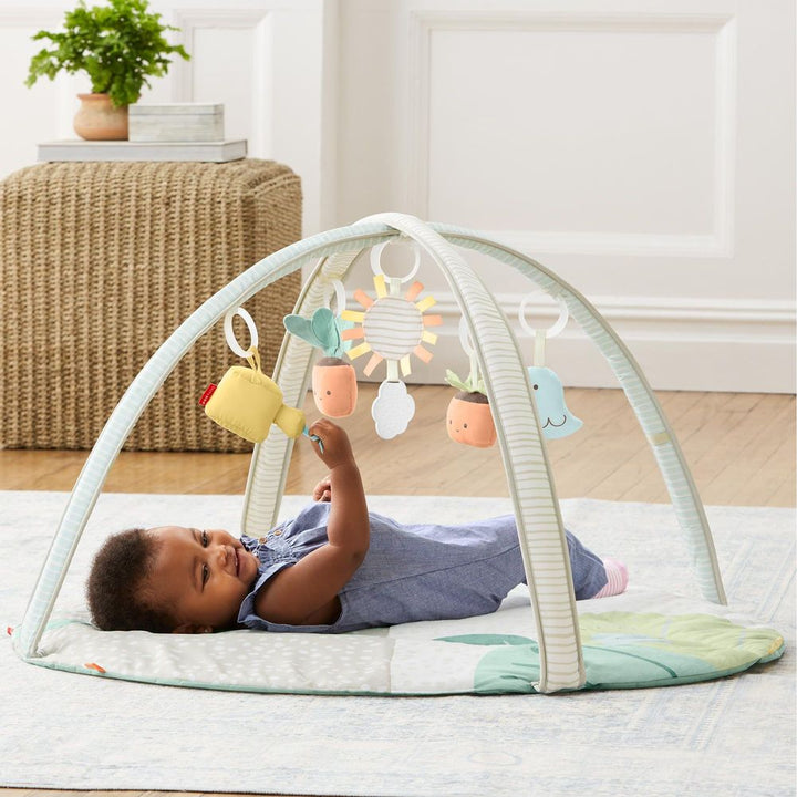 Skip Hop Garden Oasis Activity Gym