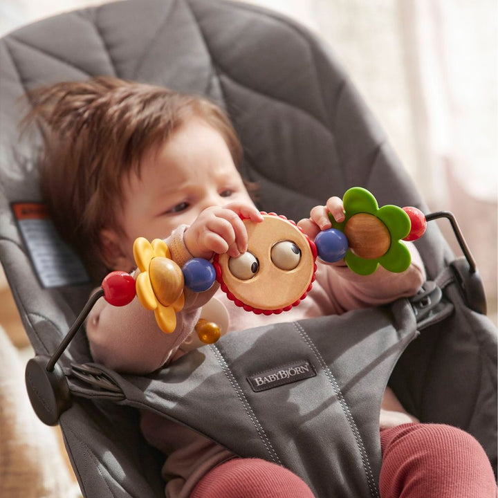 BabyBjorn Bouncer Bliss Bundle with Toy Bar