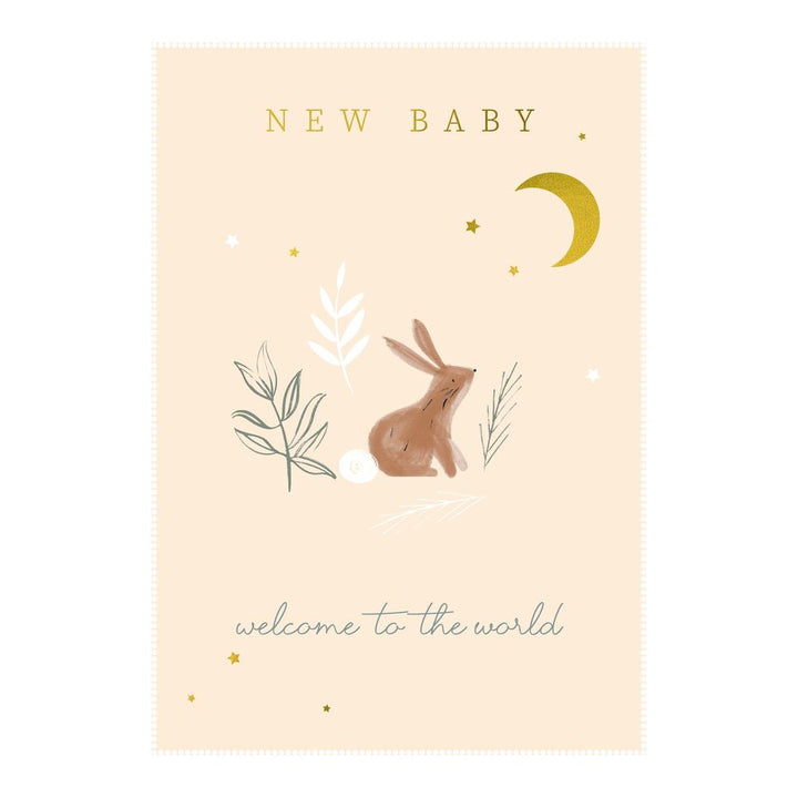 Greeting Card New Baby Welcome to the World Default Title