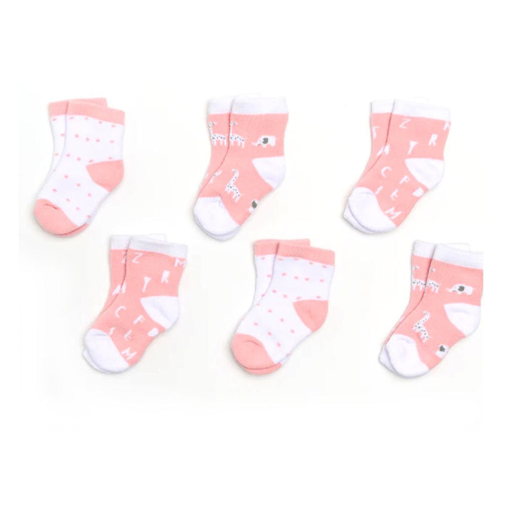 Piccolo Bambino 6-Piece Woven Knit Socks Gift Box Pink 0-3 Months