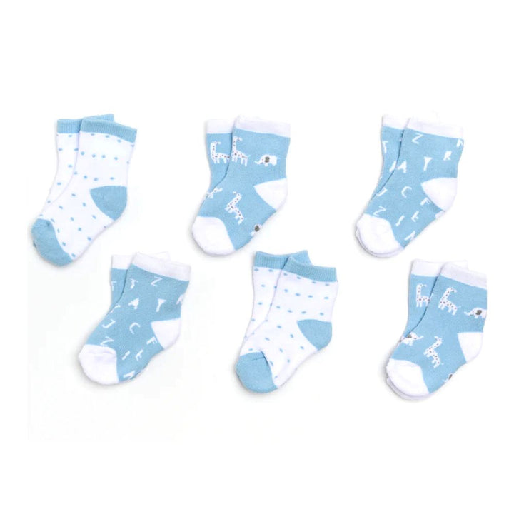 Piccolo Bambino 6-Piece Woven Knit Socks Gift Box Blue 0-3 Months