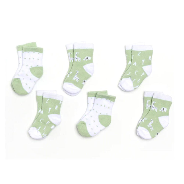 Piccolo Bambino 6-Piece Woven Knit Socks Gift Box Green 0-3 Months